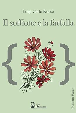 Il soffione e la farfalla